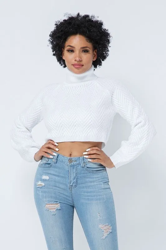 CHEVRON TURTLENECK SWEATER- CREAM