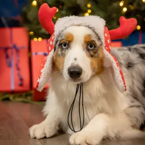 Red Fairisle Antler Hat with Snug Fit for Dogs and Cats